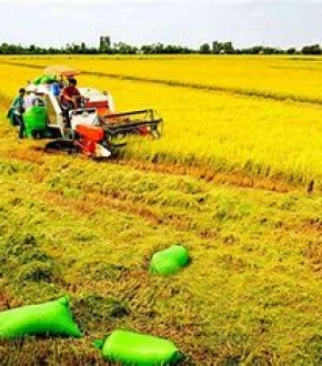 Lĩnh vực nông nghiệp