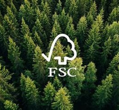 Chứng nhận FSC - PEFC