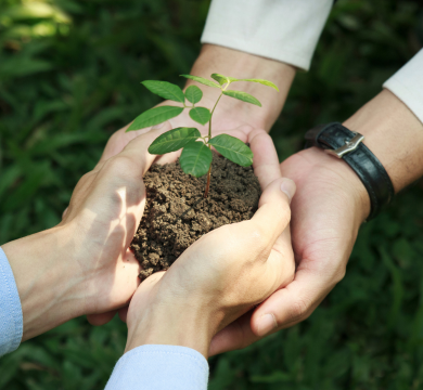 Trách nhiệm xã hội