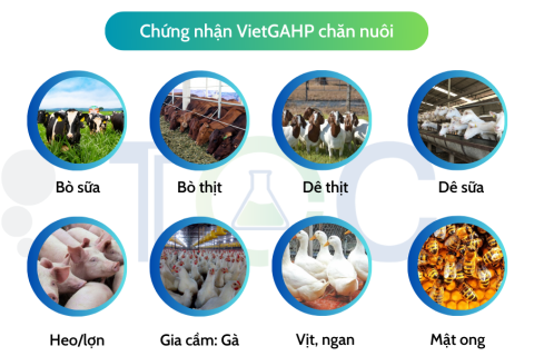 Sản phẩm VIETGAP chăn nuôi