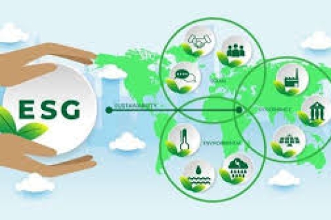 Tư vấn Lập Báo cáo ESG