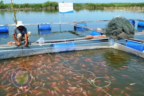 Sản phẩm VIETGAP thủy sản