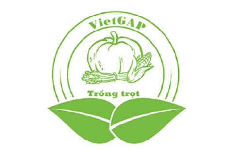 Sản phẩm VIETGAP trồng trọt